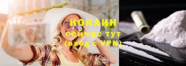 гидра Белокуриха